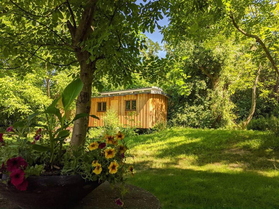 Jungle Wagon - Ecovillage Hainburg Хайнбург-ан-дер-Донау Экстерьер фото